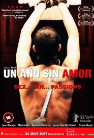 Un Ano Sin Amor poster