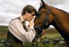War Horse picture