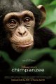 ชิมแปนซี ผจญภัยในป่ากว้าง