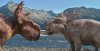 Walking with Dinosaurs picture
