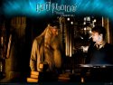 Harry Potter and the Half-Blood Prince