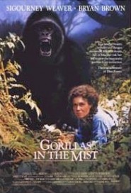 Gorillas in the Mist poster