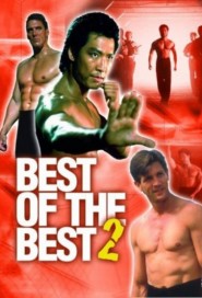 Best of the Best 2 poster