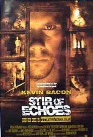 Stir of Echoes poster