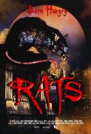 Rats poster