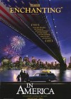 In America poster