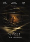 Spider poster