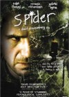 Spider poster