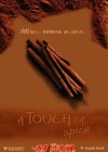 A Touch of Spice poster