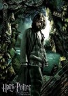 Harry Potter and the Prisoner of Azkaban poster