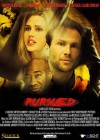 Pursued poster