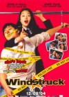 Windstruck poster