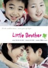 Little Brother poster