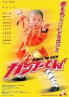 Kung Fu Kid poster