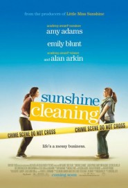 Sunshine Cleaning poster