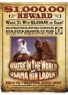 Where in the World Is Osama Bin Laden? poster