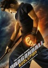 Dragonball Evolution poster