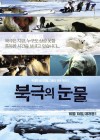 Tears in the Arctic poster