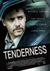 Tenderness poster