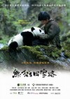 Trail of the Panda poster