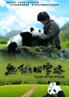 Trail of the Panda poster