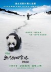 Trail of the Panda poster