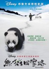 Trail of the Panda poster