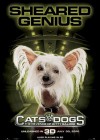 Cats & Dogs: The Revenge of Kitty Galore poster