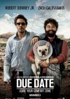 Due Date poster