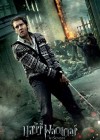 Harry Potter and the Deathly Hallows: Part 2 poster