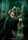 Harry Potter and the Deathly Hallows: Part 2 poster