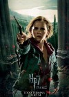 Harry Potter and the Deathly Hallows: Part 2 poster