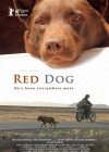 Red Dog poster