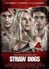 Straw Dogs poster