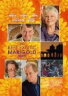 The Best Exotic Marigold Hotel poster