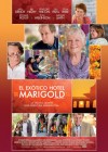 The Best Exotic Marigold Hotel poster