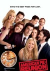 American Pie: Reunion poster