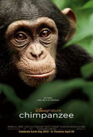 Chimpanzee poster