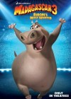 Madagascar 3: Europe's Most Wanted poster