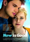 Now Is Good poster