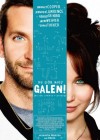 Silver Linings Playbook poster