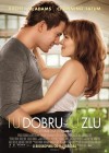 The Vow poster