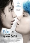 Blue Is the Warmest Color poster