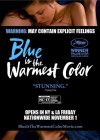 Blue Is the Warmest Color poster