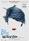 Blue Is the Warmest Color poster