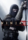 Ninja: Shadow of a Tear poster