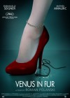 Venus in Fur poster