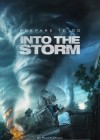 Into the Storm poster