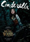 Into the Woods poster