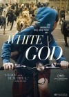 White God poster